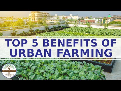 Top 5 Benefits of Urban Farming Explainer Video