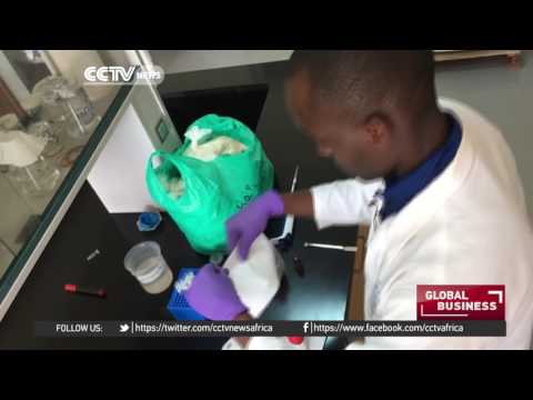 Ugandan scientists make bags out of cassava