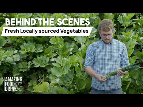 The Importance of Locally Sourced Vegetables | Gilfresh Produce | Ingredients Sourced