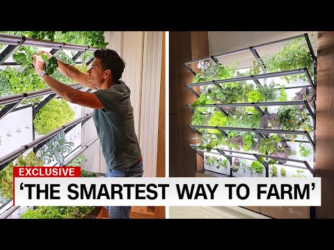 How To Start A Vertical Farm In Your House..