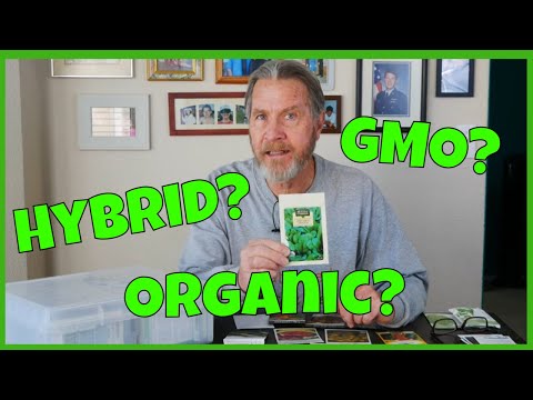 GMO, Hybrid, Heirloom, &amp; Organic Seeds - Understanding the differences