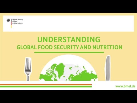 &quot;Understanding global food security and nutrition&quot;