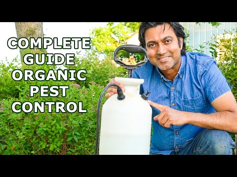 Pesticide Companies Don&#039;t Want You to Know These Secrets | Complete Guide to Organic Pest Control