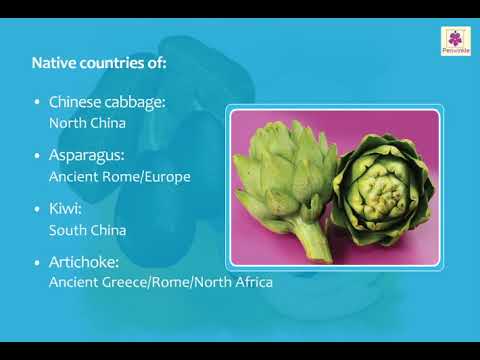 Exotic Fruits and Vegetables | Animals and Plants | Now You Know Book 3 | Periwinkle