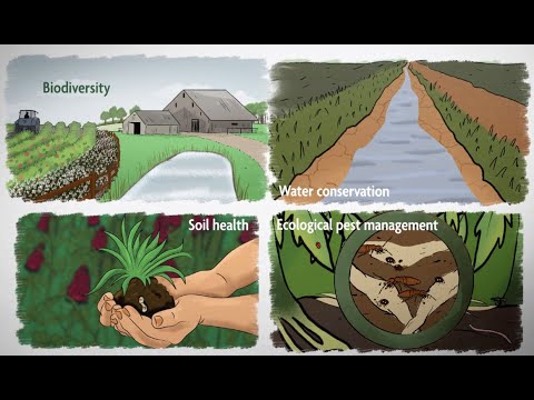 What is Sustainable Agriculture? Episode 1: A Whole-Farm Approach to Sustainability