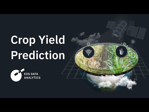 Crop Yield Prediction by EOS Data Analytics