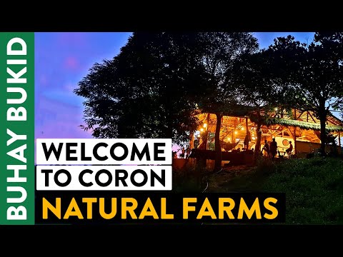 Farm Tour: Learn Aquaponics, Permaculture &amp; More Techniques in Sustainable Agriculture | OG