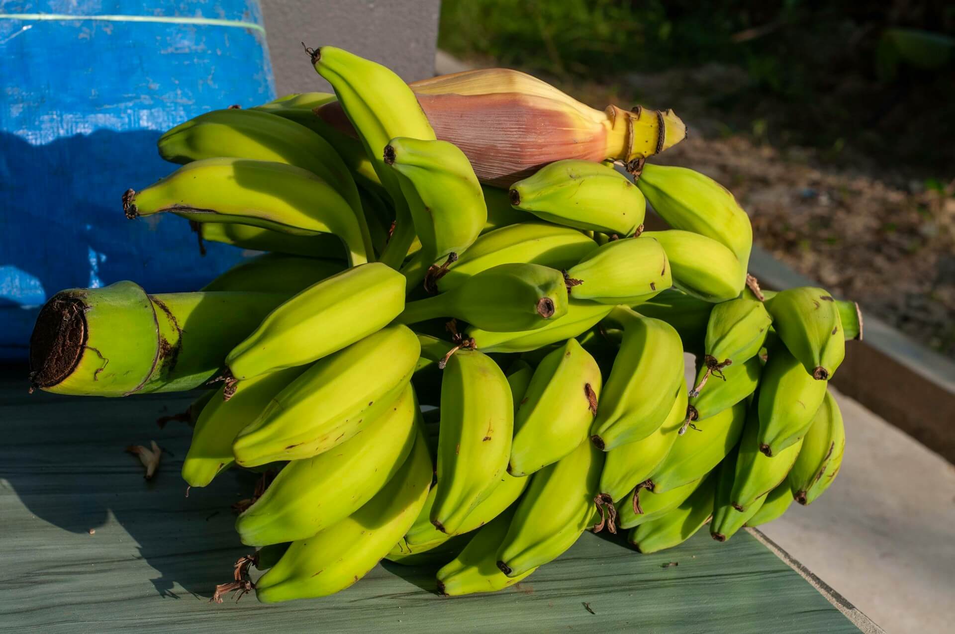 Sustainable Packaging Solutions For Bananas In Retail