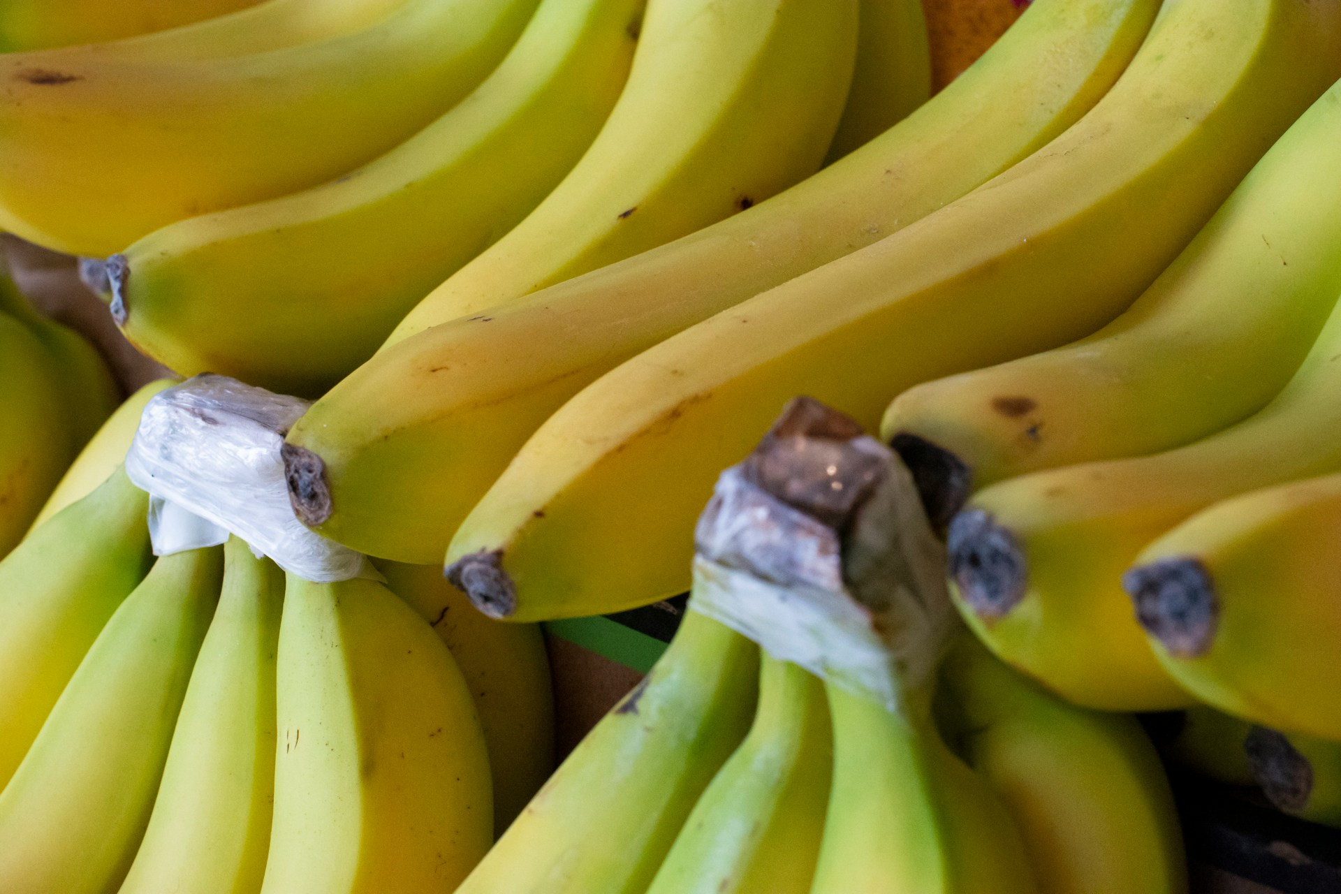 consumer-preferences-and-trends-in-banana-consumption