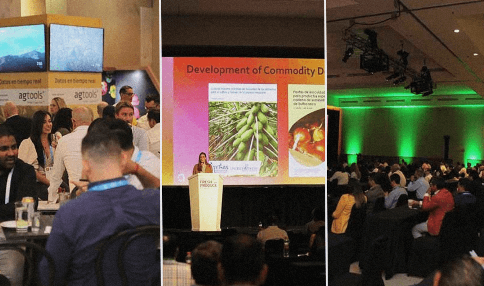 Over 460 Agribusiness Leaders Gather at IFPA's Mexico Conference 2024